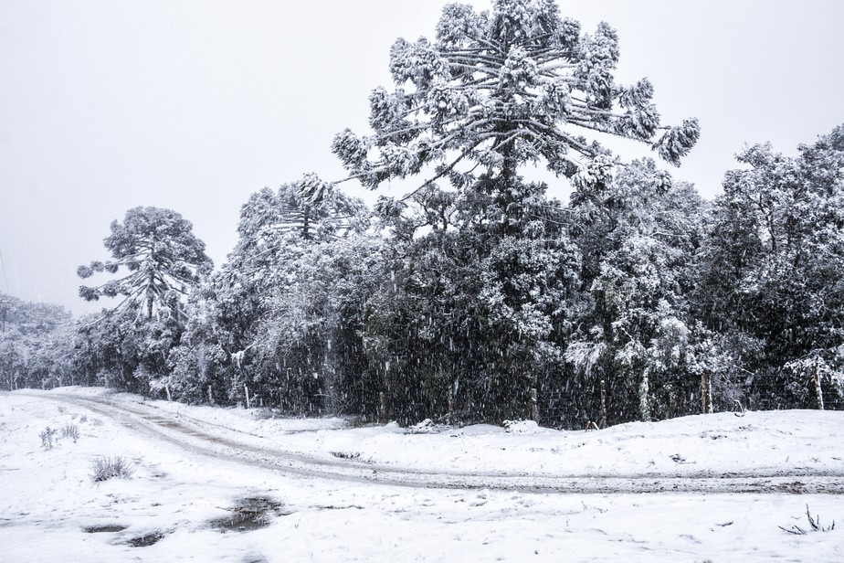 Onda de frio no Brasil deve ser uma das mais intensas do século