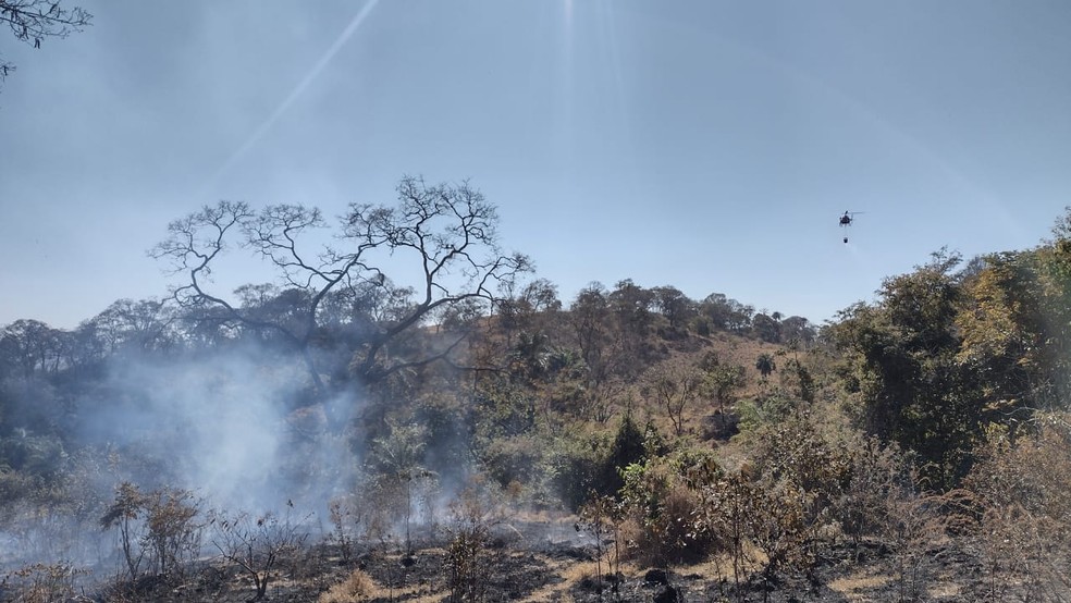 Incêndio em Patrocínio queima área equivalente a 560 campos de futebol na região da Serra Negra